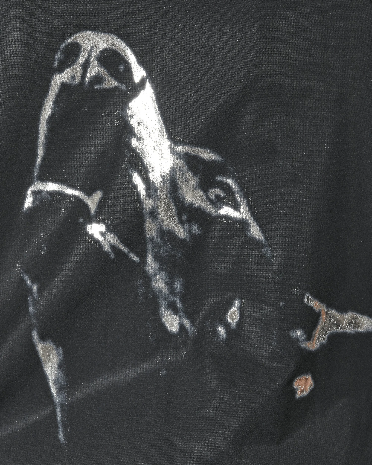 Doberman Bomber Jacket Black 7 Doberman Bomber Jacket Black - immagine 5